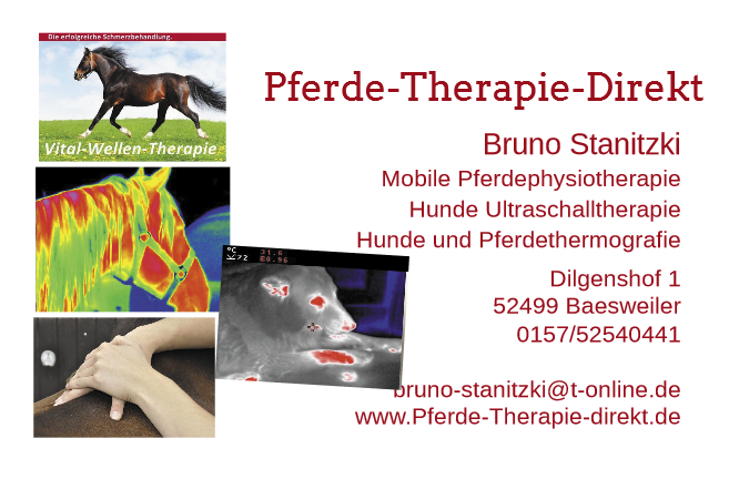 (c) Pferde-therapie-direkt.de